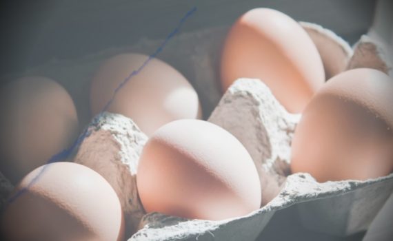 Photo d'une boite d'oeufs pour illustrer cet article sur la manière de cuisiner les oeufs