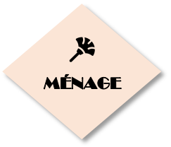 Losange couleur chair avec une icone de plumeau et le mot ménage pour illustrer la rubrique ménage
