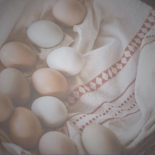 Photographie d'oeufs posés sur un torchon pour illustrer cet article sur les différentes manières de cuire des oeufs