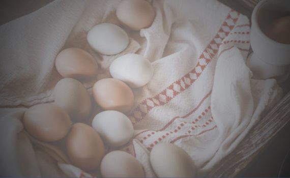 Photographie d'oeufs posés sur un torchon pour illustrer cet article sur les différentes manières de cuire des oeufs